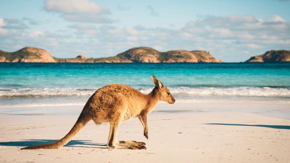 Western Australia: 15-Day Southwest Tour from Perth with Margaret River Vineyard Lunch, Esperance Beaches & Monkey Mia