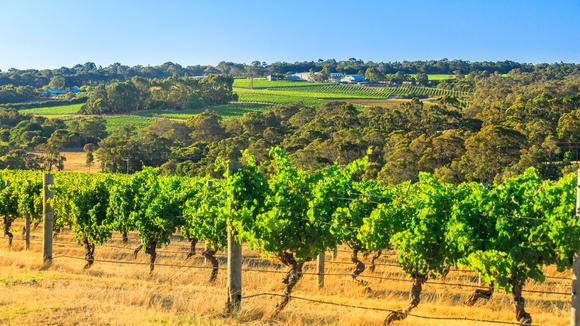 Wines of the West: 4-Day Luxury Small-Group Gourmet Tour from Perth to Margaret River with Wine Tastings & Five-Star Stays