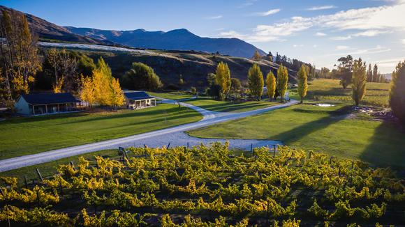 Boutique Winery Escape Amidst New Zealand's Spectacular Scenery 