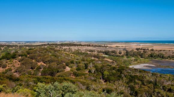 Historic Great Ocean Road Escape with Tower Hill Nature Reserve Tickets