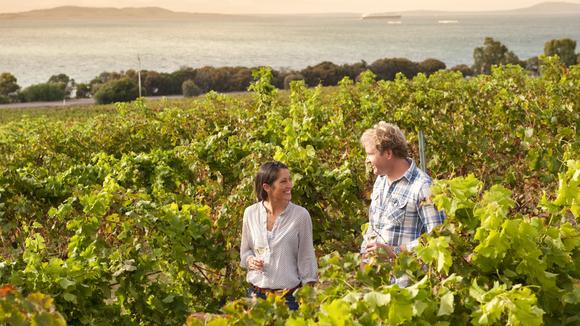 Port Lincoln & Coffin Bay: 5-Day Small-Group Gourmet Tour with Return Adelaide Flights, Oyster Shucking & Wine Tastings