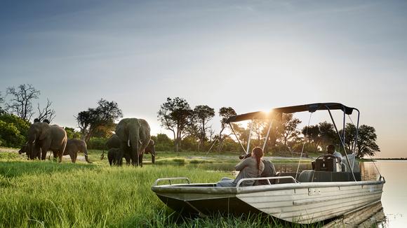 Botswana: 9-Day Luxury Small-Group Safari with All-Inclusive Stays, Victoria Falls Helicopter Flight & Wildlife Encounters