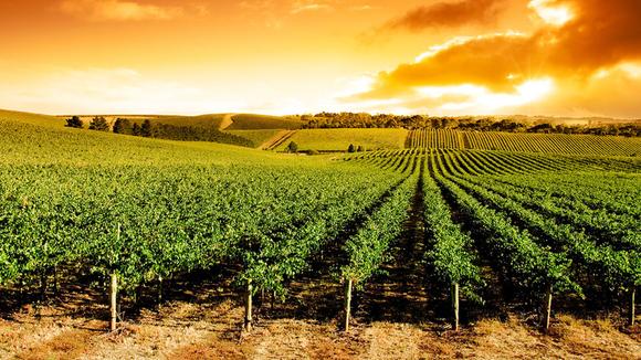 South Australia: 4-Day Small-Group Gourmet Tour with Private Wine Tastings & All-Inclusive Luxury Outback Stay