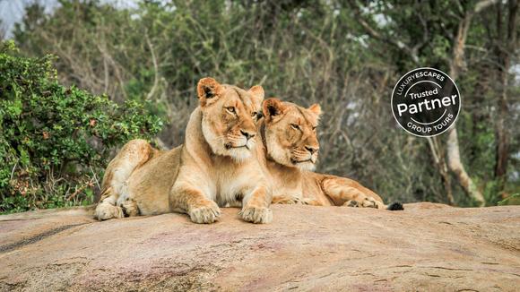 South Africa: 12-Day Small-Group Tour with Garden Route Road Trip & Kruger National Park Game Drives