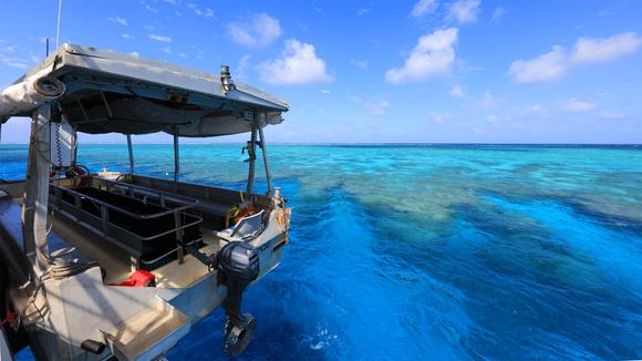 Great Barrier Reef: 7-Night All-Inclusive Expedition Cruise to Remote Reefs with Pre-Cruise Hotel Stay & Scenic Helicopter Flight