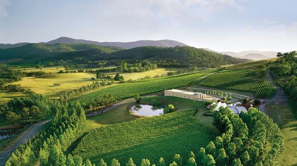 Melbourne to Yarra Valley: Helicopter Wine Tour with Four-Course Lunch at TarraWarra Estate & Gallery Visit