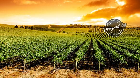 South Australia: 4-Day Small-Group Gourmet Tour with Private Wine Tastings & All-Inclusive Luxury Outback Stay