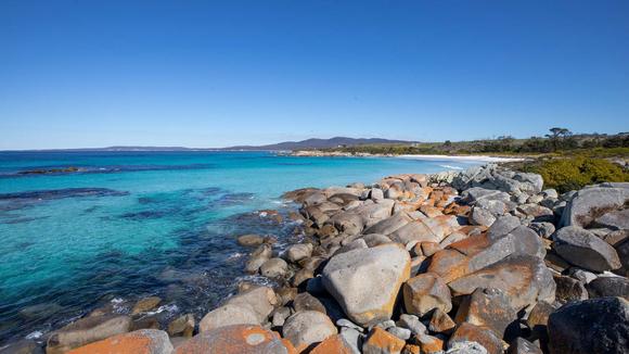 Tasmania Boutique Bay of Fires Suites with Gourmet Cheese Platter & Nightly Dining Credit