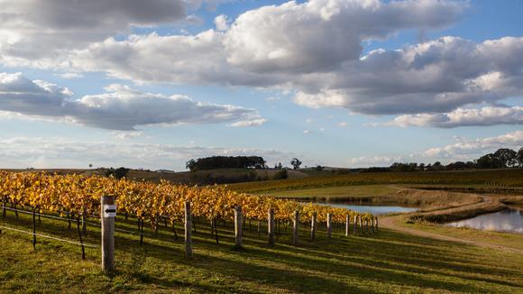 Orange & Mudgee: Private 4-Day Luxury Food & Wine Tour with Daily Gourmet Dining & Wine Tastings