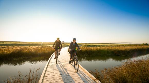 Hawke's Bay: 6-Day Small-Group E-Bike Cycling Tour with Wine Tastings & Five-Course Degustation