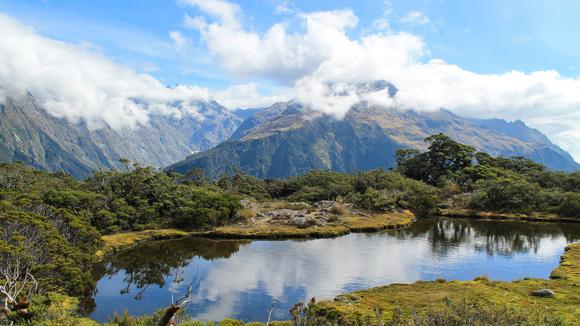 South Island West Coast: 5-Day Small-Group Walking Tour with All Meals, Milford Sound Scenic Flight & Rainforest Stay