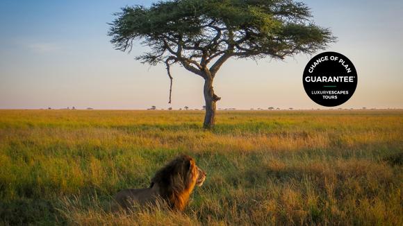 Serengeti & Maasai Mara: 10-Day All-Inclusive Kenya & Tanzania Luxury Safari with Zanzibar Island Extension