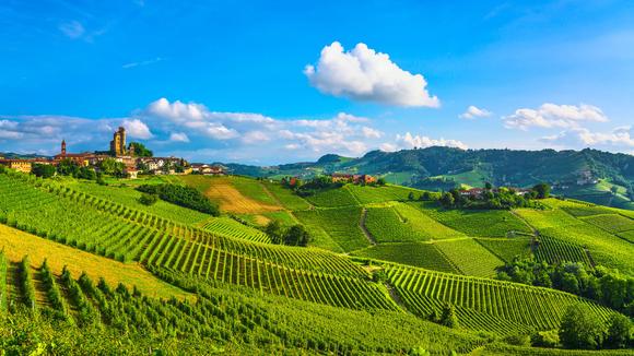 Boutique Foodie Escape in Italy’s Wine Country