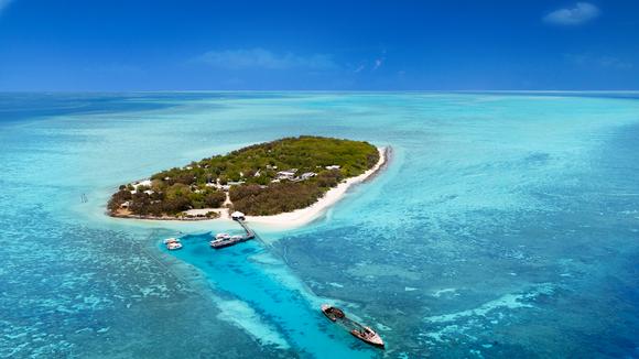 The Ultimate Great Barrier Reef Escape with Dining and Marine-Life Discovery Experiences