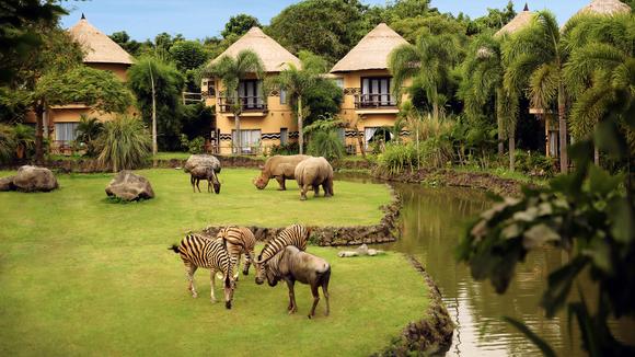 Unique Bali Safari Experience
