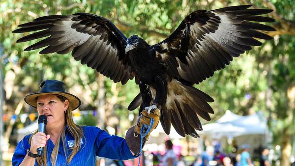 50%OFF Western Australian Birds of Prey Centre deals, reviews, coupons
