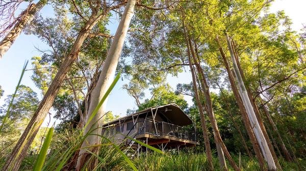 Laidback Vineyard Glamping Retreat near Brisbane with Daily Breakfast & Cellar Door Wine Tasting