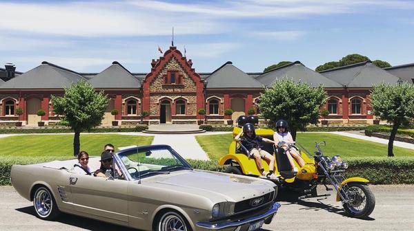 Barossa Valley: Half-Day Personalised Winery Tour for Two with Tastings, Roundtrip Transfers & Cheese or Chocolate Pairing