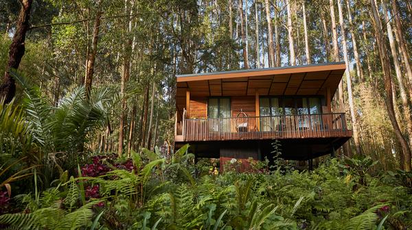 Five-Star Rwanda One&Only Gorilla's Nest Wilderness Retreat at Volcanoes National Park