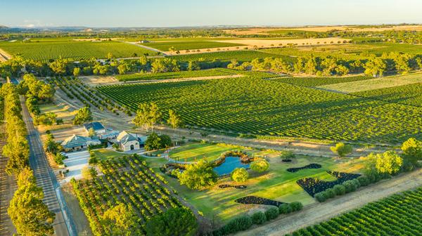 Boutique Vineyard Retreat near the Barossa Valley's Best Wineries