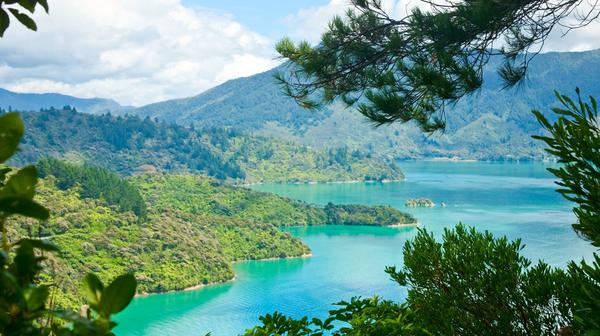 Marlborough Sounds 2022: 6-Day Luxury Small-Group Gourmet Tour with Daily Dining, Award-Winning Wine Tastings & Scenic Queen Charlotte Sound Cruise
