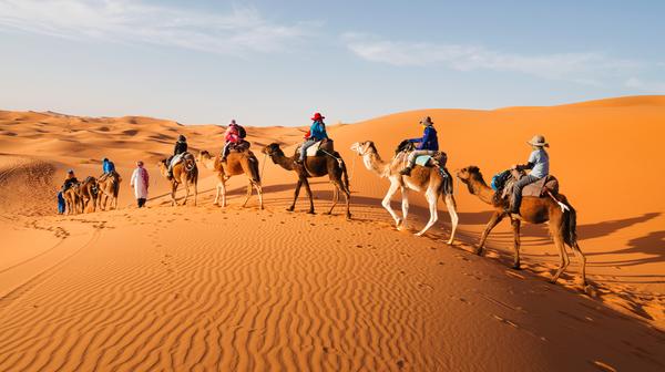 Morocco 2022-2023: 10-Day Small-Group Cultural Tour from Casablanca with Guided City Tours, Desert Stays, Camel Ride & Jeep Safari