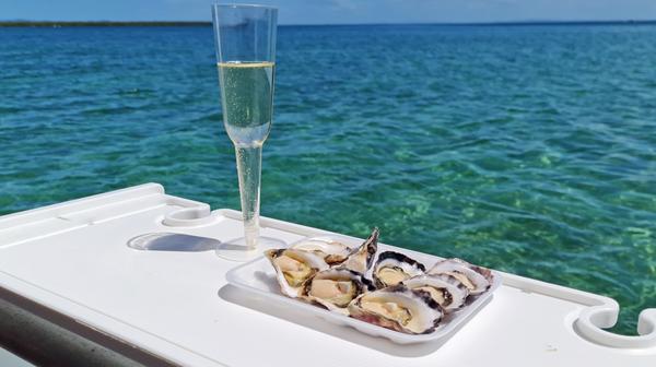 Brisbane to Moreton Bay: 3-Hour Sparkling Wine & Oyster Boat Tour