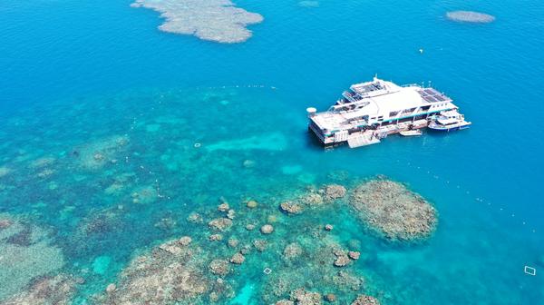 Cairns: Great Barrier Reef Full-Day Cruise with Snorkelling Equipment & Glass Bottom Boat Tour