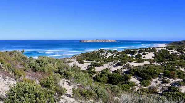 Port Lincoln & Coffin Bay: 3-Day Small-Group Gourmet Tour with Roundtrip Adelaide to Port Lincoln Flights, Oyster Shucking & Wine Tastings 