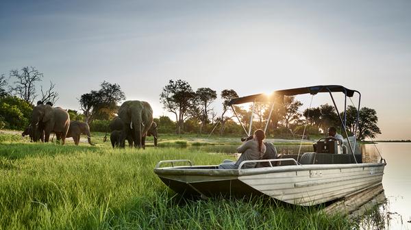 Botswana & Zambia: 9-Day Private Luxury Safari Tour with All-Inclusive Lodge Stays, Game Drives & Victoria Falls Helicopter Ride