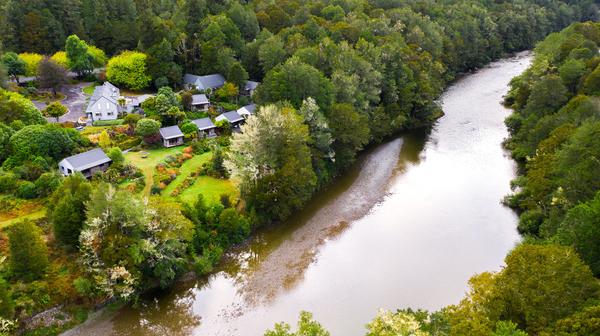 Secluded South Island Boutique Wellness Retreat with Daily Dinner & Forest Bathing Experience