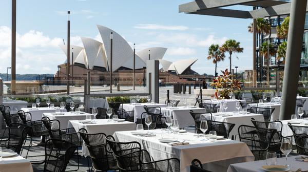 Vivid Sydney: Two-Hour Seafood Gourmet Dining Experience for Two with Champagne & Sydney Harbour Views