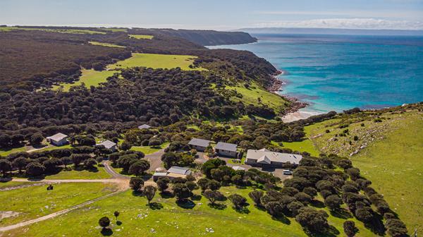 Tranquil Kangaroo Island Oceanfront Escape with Half-Day Tour, Daily Breakfast & Nightly Two-Course Dinner 