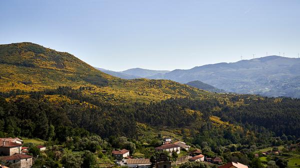 Five-Star Portugal Vineyard Escape near Peneda-Gerês National Park