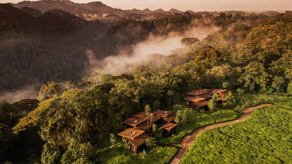 Five-Star Rwanda One&Only Wilderness Retreat within Chimpanzee-Inhabited Nyungwe National Park