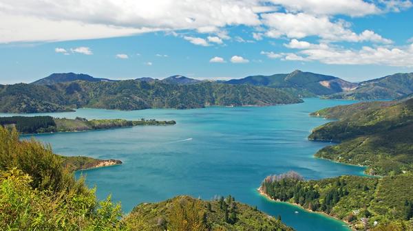 New Zealand: 6-Day Small-Group Tour from Christchurch to Wellington with Coastal Pacific Rail Journey, Marlborough Sounds Cruise & Scenic Helicopter Flight