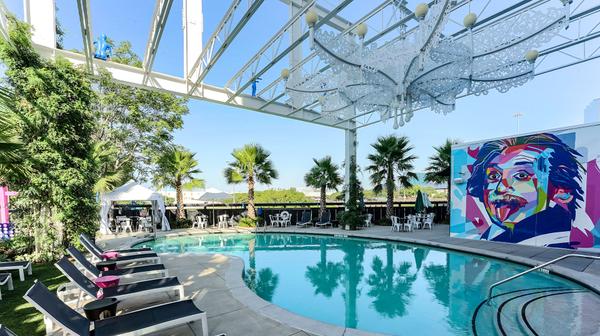 Dallas Art Hotel with Miami Resort-Style Swimming Pool