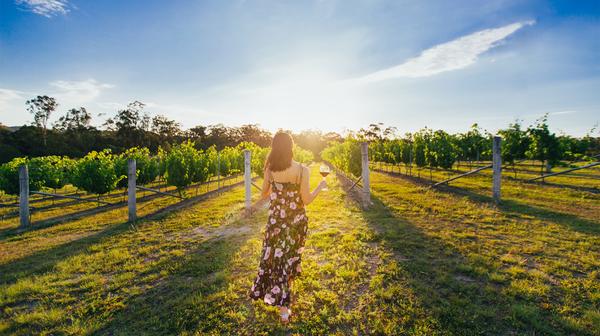 Mount Tamborine Full-Day Winery Tour with Guided Tastings & Two-Course Gourmet Lunch