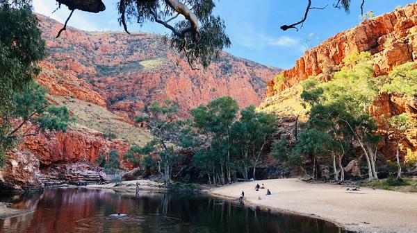 Red Centre: 5-Day Small-Group Tour with Kings Canyon & Kata Tjuṯa Hikes & Sounds of Silence Dinner Experience