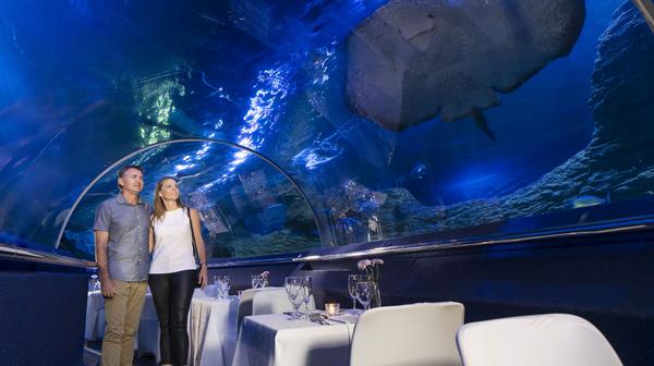 Perth: AQWA Four-Course Dine Beneath The Sea Aquarium Experience with Premium Drinks Package