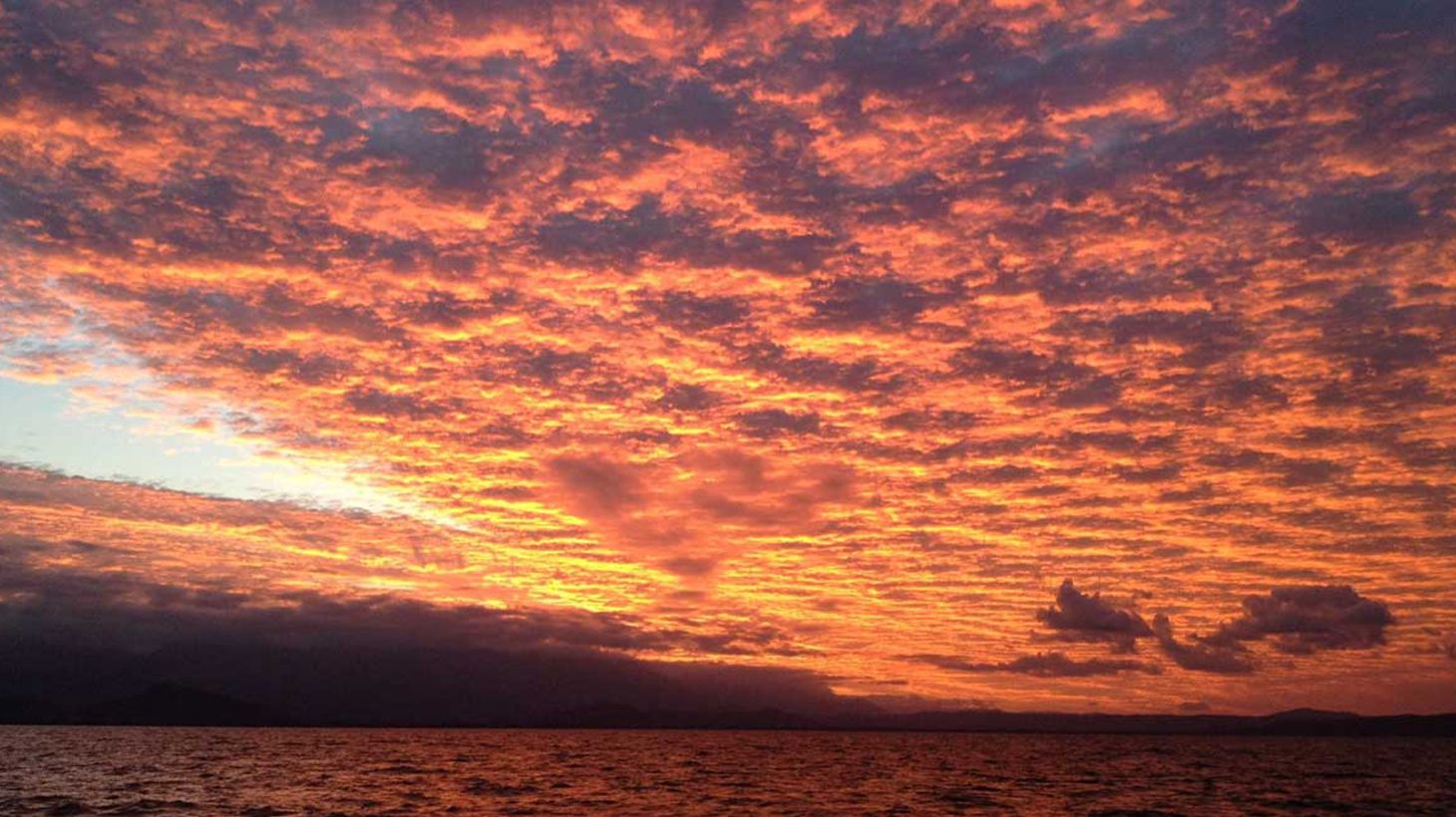 1.5-Hour Sunset Sailing Tour Over the Coral Sea with Canapes & Welcome Drink 5