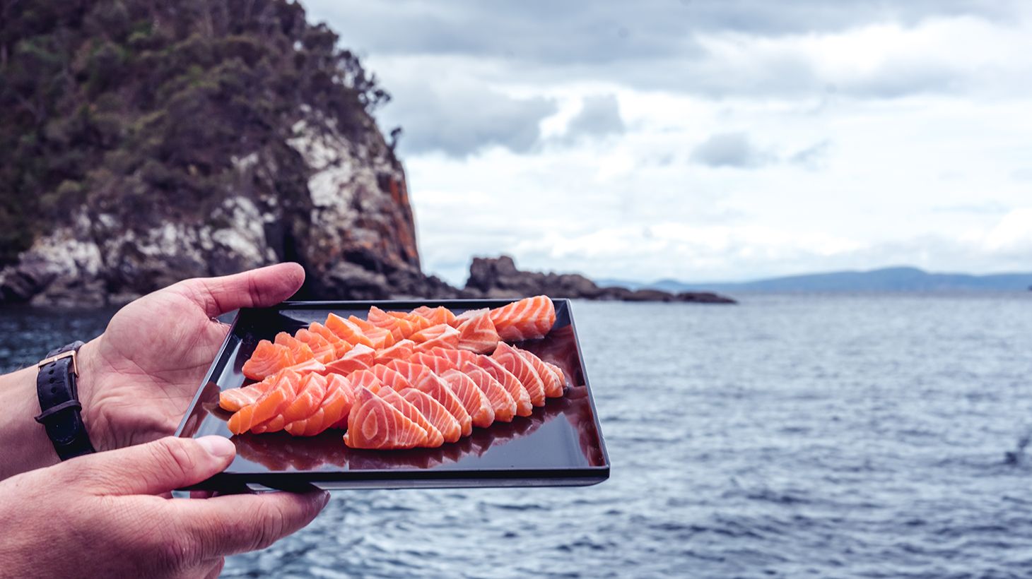 Full-Day Seafood Cruise with Freshly Caught Wild Abalone, Gourmet Lunch & Drinks 7