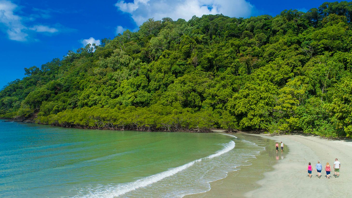 Full-Day World Heritage Highlights Tour with Helicopter Flight, Daintree River Cruise & Lunch 5