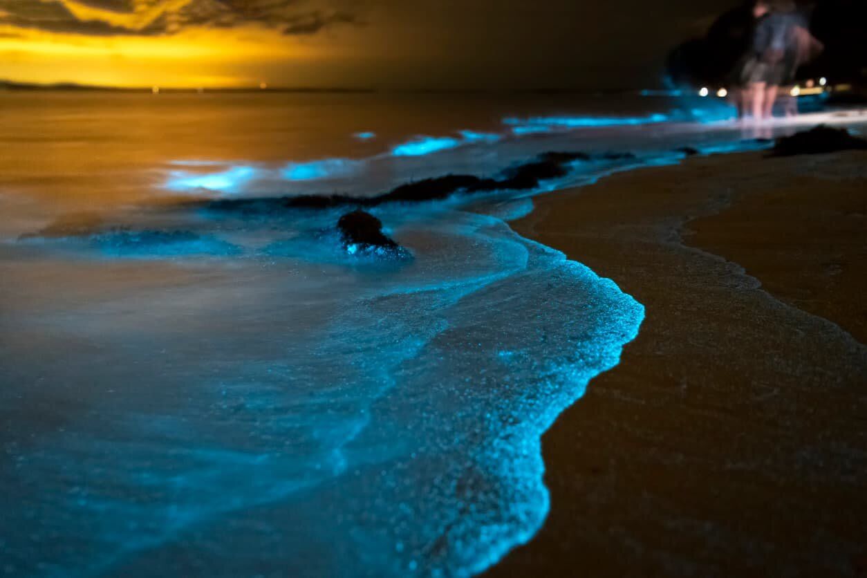 Phuket: Phang Nga Bay Bioluminescent Plankton and Sea Canoes