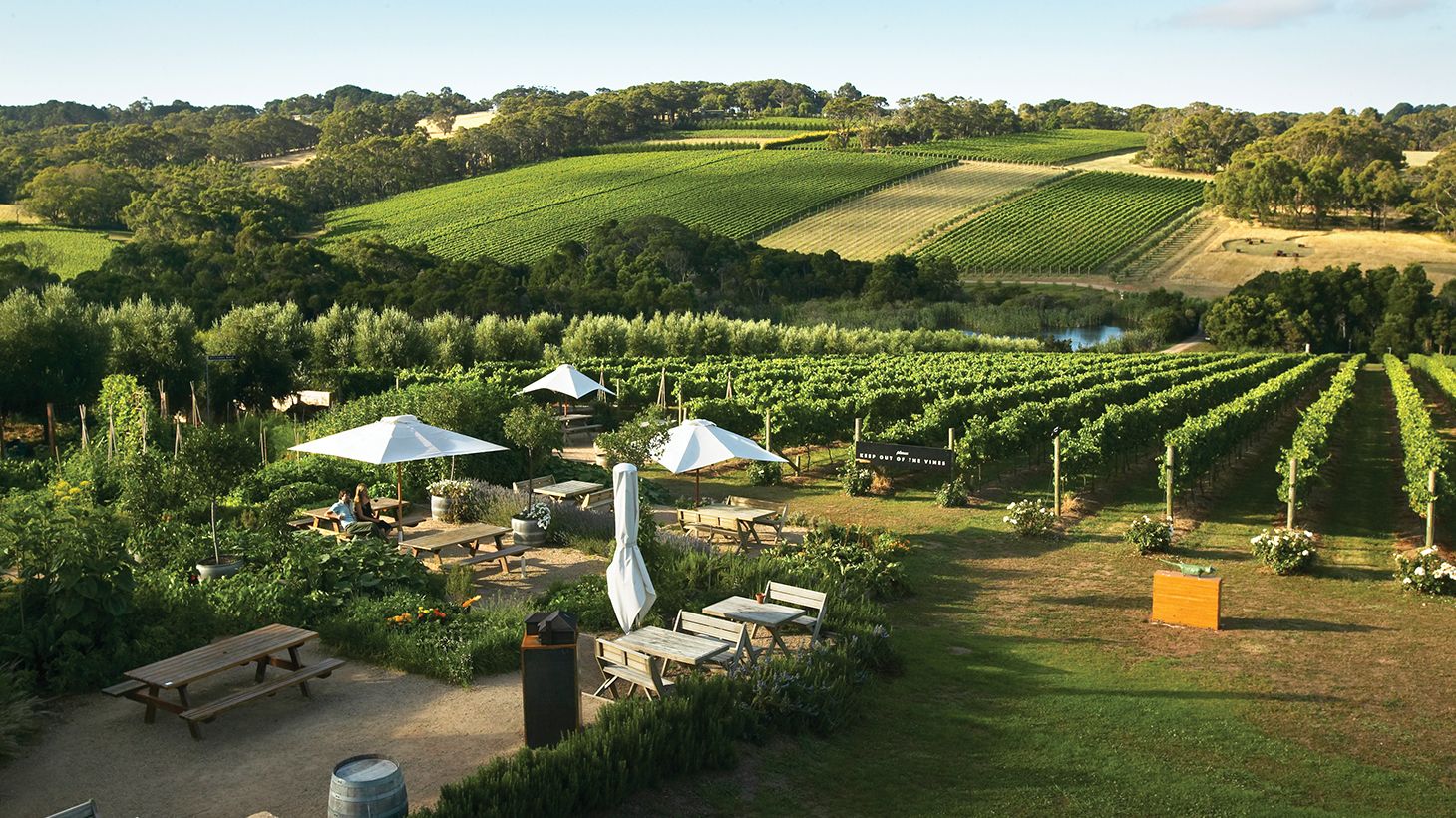 Estate to Plate Gourmet Indulgence with Wine Tasting & Multi-Course Lunch with Paired Wines 3