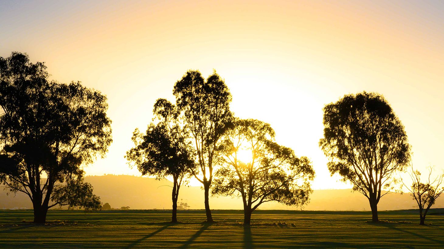 Take a Swing at an 18-Hole Golf Package at Goonawarra Public Golf Course 3