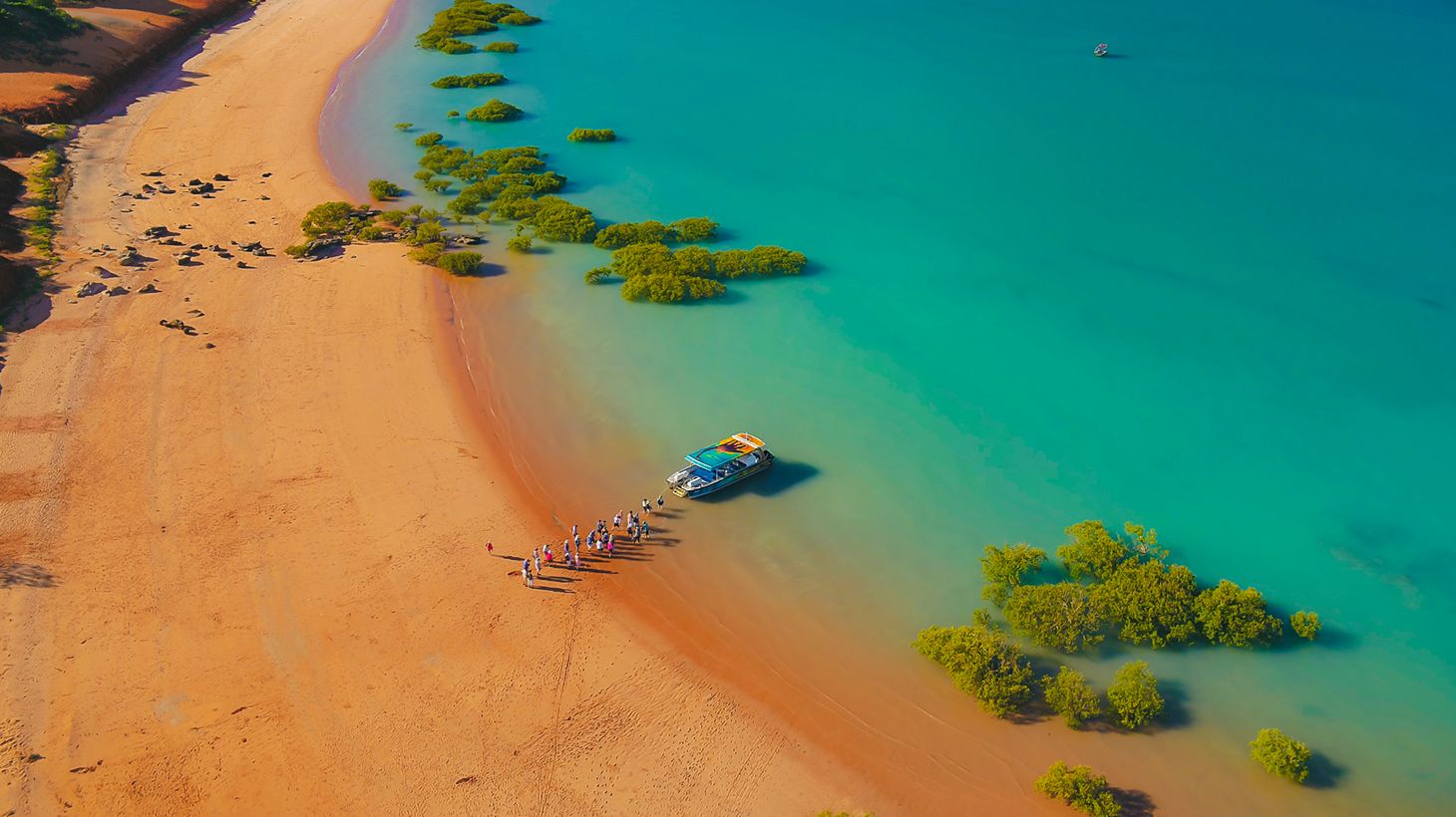 Journey Through Time on a Dinosaur Adventure Cruise in Roebuck Back With Beachside Tapas and Cocktails