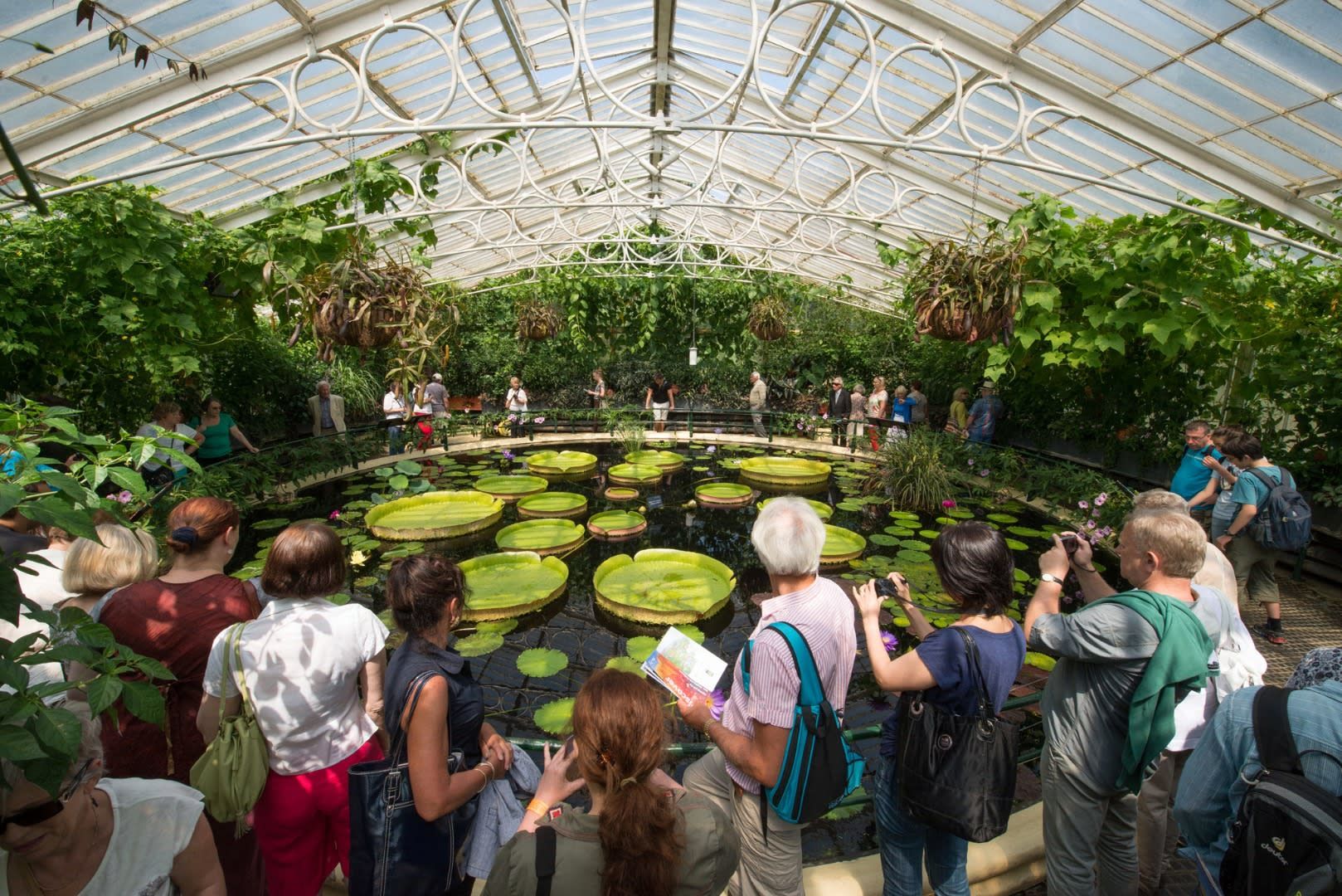 Royal Botanic Gardens Ticket in Kew Gardens 2