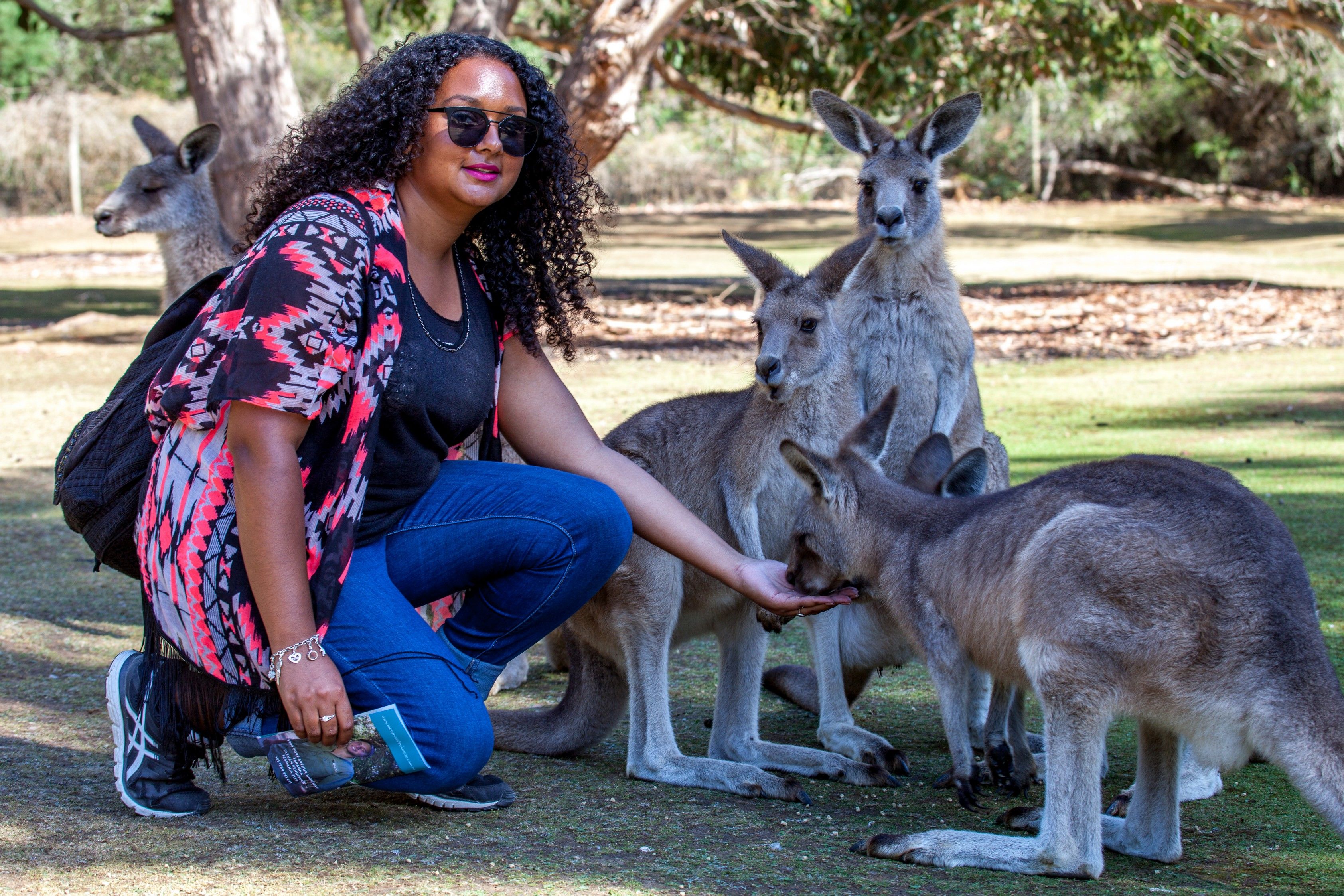 Immerse Yourself in Spectacular Forests on a Full-Day Mount Field National Park Tour with Return Transfers 8
