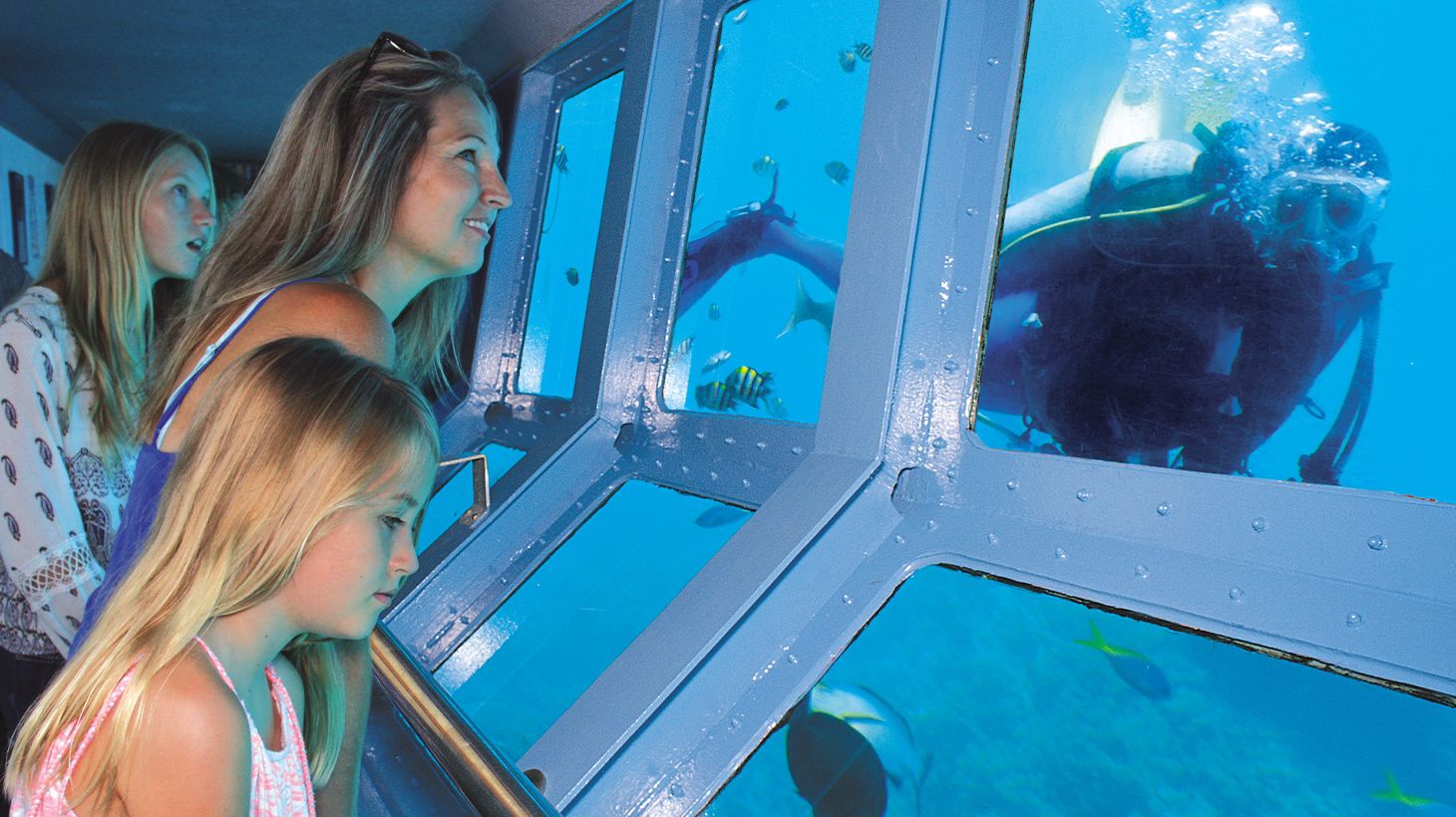 Full-Day Outer Barrier Reef Snorkelling Tour with All Equipment & Tropical Lunch 5